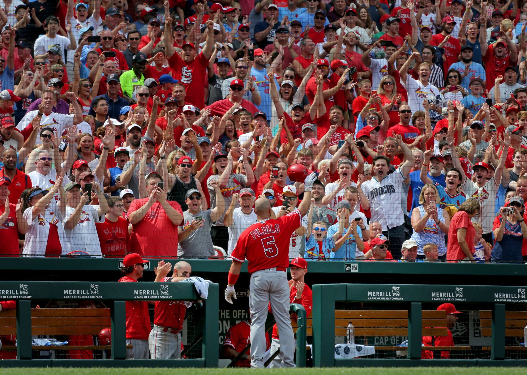 Cardinals host Angels